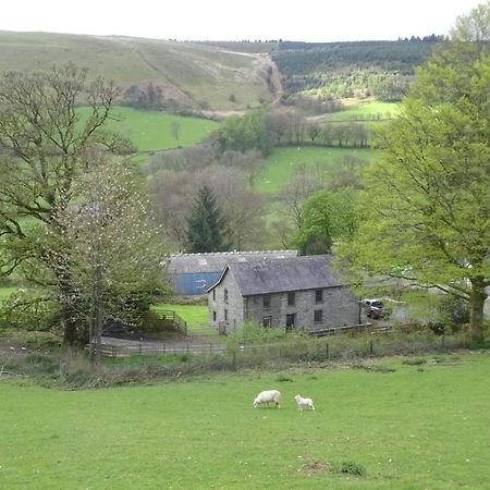 Blaentwrch Farmhouse Llanddewi-Brefi Bagian luar foto