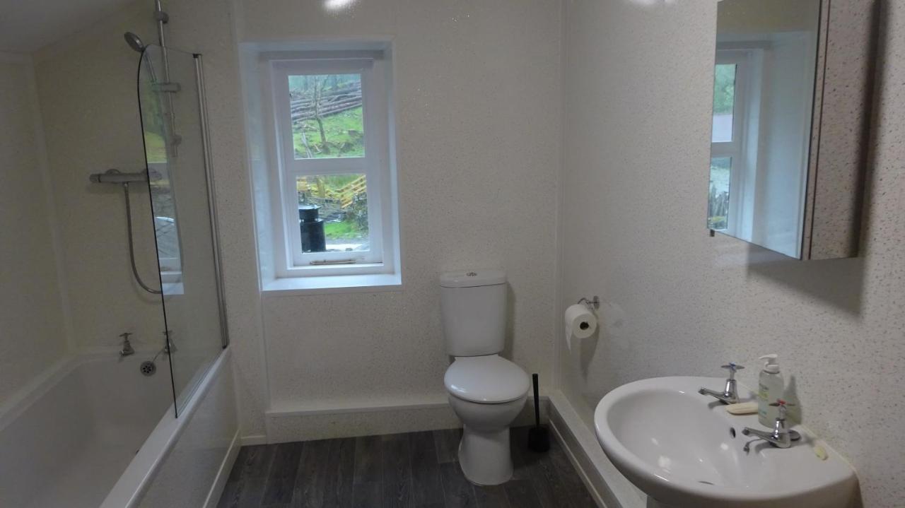 Blaentwrch Farmhouse Llanddewi-Brefi Bagian luar foto