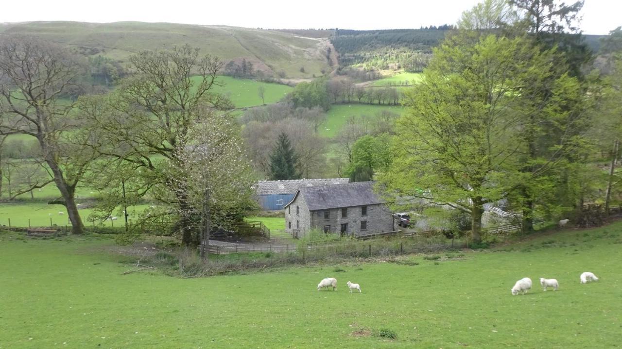 Blaentwrch Farmhouse Llanddewi-Brefi Bagian luar foto